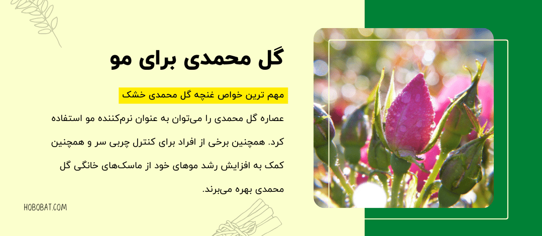 خواص گل محمدی برای مو