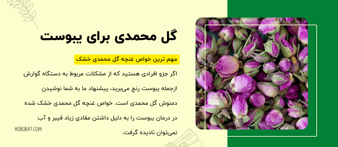 خواص گل محمدی برای یبوست