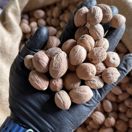 دانه جوز هندی